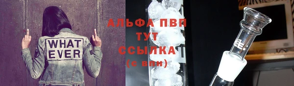 мдпв Бородино
