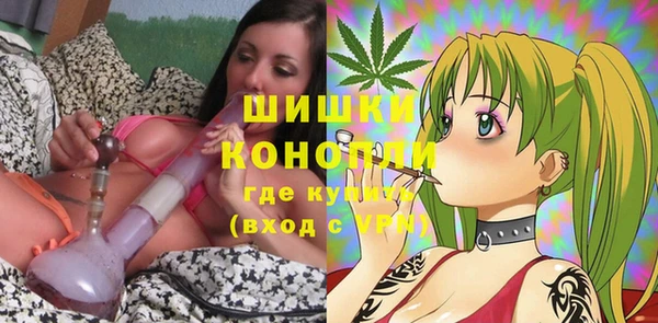 винт Бронницы