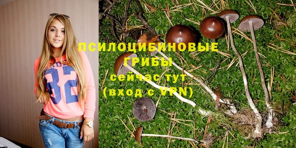 винт Бронницы