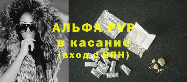 мдпв Бородино