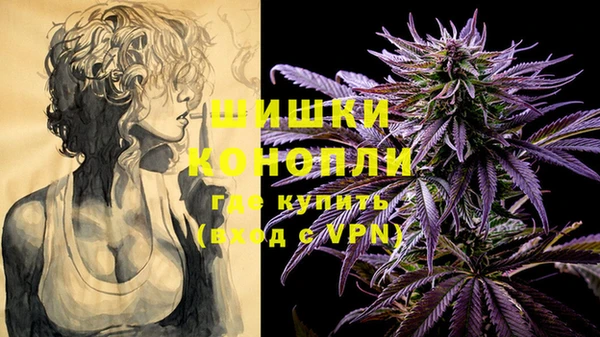 шишки Бугульма