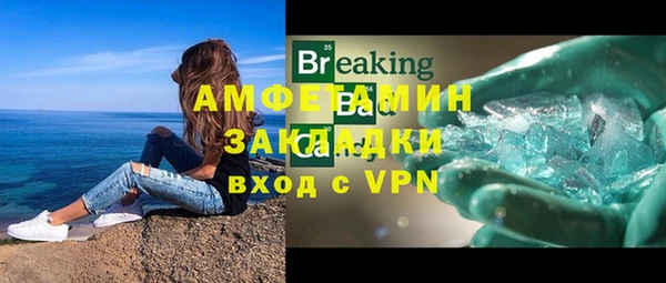 мдпв Бородино