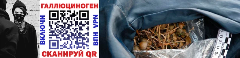 Галлюциногенные грибы GOLDEN TEACHER  Чишмы 